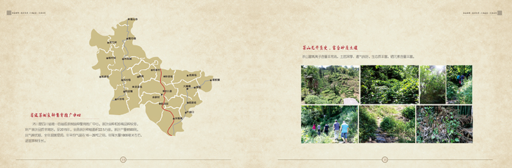 1540974471275962.jpg 47.jpg