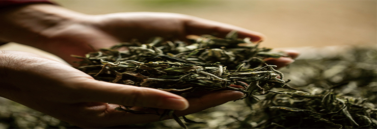 1540974890824316.jpg 49.jpg